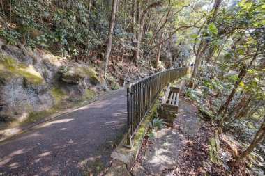 HONG KONG, Çin - 29 Eylül 2024: Hong Kong, Çin 'deki Hong Kong Adası' nda sıcak bir sonbahar gününde Lugard Bulvarı 'nda Daire Yürüyüşü