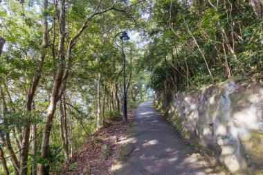 HONG KONG, Çin - 29 Eylül 2024: Hong Kong, Çin 'deki Hong Kong Adası' nda sıcak bir sonbahar gününde Lugard Bulvarı 'nda Daire Yürüyüşü