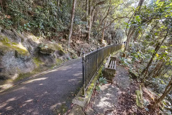 HONG KONG, Çin - 29 Eylül 2024: Hong Kong, Çin 'deki Hong Kong Adası' nda sıcak bir sonbahar gününde Lugard Bulvarı 'nda Daire Yürüyüşü