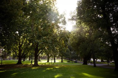 Carlton Gardens Melbourne Avustralya 'da güneşli bir sonbahar gününde