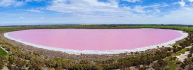 Dimboola yakınlarındaki Pembe Göl olarak da bilinen ünlü Lochiel Gölü. Batı Victoria, Avustralya 'da Horsham yakınlarında ılık bir bahar günü.