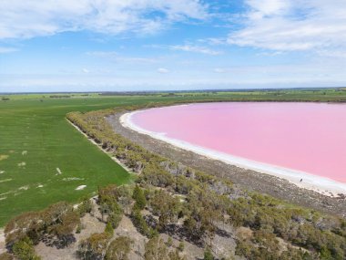 Dimboola yakınlarındaki Pembe Göl olarak da bilinen ünlü Lochiel Gölü. Batı Victoria, Avustralya 'da Horsham yakınlarında ılık bir bahar günü.