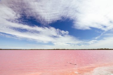 Dimboola yakınlarındaki Pembe Göl olarak da bilinen ünlü Lochiel Gölü. Batı Victoria, Avustralya 'da Horsham yakınlarında ılık bir bahar günü.