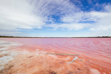 Dimboola yakınlarındaki Pembe Göl olarak da bilinen ünlü Lochiel Gölü. Batı Victoria, Avustralya 'da Horsham yakınlarında ılık bir bahar günü.