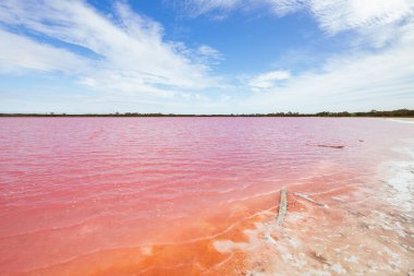 Dimboola yakınlarındaki Pembe Göl olarak da bilinen ünlü Lochiel Gölü. Batı Victoria, Avustralya 'da Horsham yakınlarında ılık bir bahar günü.