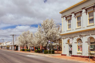 DONALD, AUSTRALIA - SEPTEMBER 28 2025: Avustralya 'nın Victoria kentindeki eski tarihi Donald kasabasında Ulusal Avustralya Bankası' nın tarihi mimarisi
