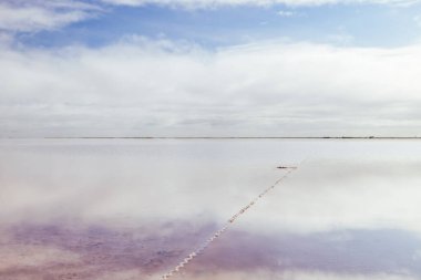 Ünlü ve popüler Tyrrell Gölü, Victoria, Avustralya 'nın Mallee bölgesinde bulunan Sea Lake yakınlarında bulunan büyük bir tuz gölüdür.