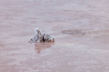 Ünlü ve popüler Tyrrell Gölü, Victoria, Avustralya 'nın Mallee bölgesinde bulunan Sea Lake yakınlarında bulunan büyük bir tuz gölüdür.