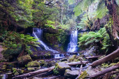 Lady Barron Falls Pisti boyunca uzanan Horseshoe Şelalesi manzarası soğuk bir yaz öğleden sonra Tazmanya, Avustralya 'da Ulusal Parkı' nda yürüyor.
