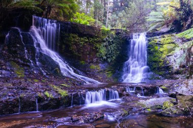 Lady Barron Falls Pisti boyunca uzanan Horseshoe Şelalesi manzarası soğuk bir yaz öğleden sonra Tazmanya, Avustralya 'da Ulusal Parkı' nda yürüyor.