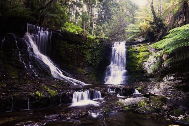 Lady Barron Falls Pisti boyunca uzanan Horseshoe Şelalesi manzarası soğuk bir yaz öğleden sonra Tazmanya, Avustralya 'da Ulusal Parkı' nda yürüyor.