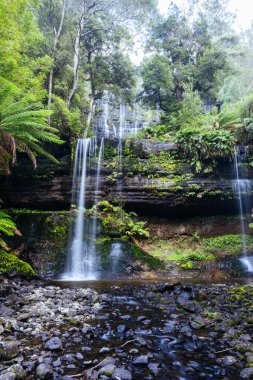 Tazmanya, Avustralya 'da soğuk bir bahar öğleden sonrasında Field Ulusal Parkı' ndaki görkemli Russell Şelalesi.