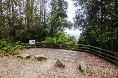 Dobson Gölü yakınlarındaki Dobson Gölü 'nden görüntüler soğuk bir yaz öğleden sonra Tazmanya' daki Mt. Field Ulusal Parkı 'nda.