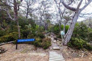 Dobson Gölü yakınlarındaki Dobson Gölü 'nden görüntüler soğuk bir yaz öğleden sonra Tazmanya' daki Mt. Field Ulusal Parkı 'nda.