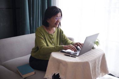 Evde dizüstü bilgisayar kullanan, kanepede yalnız oturan son sınıf kadınları..