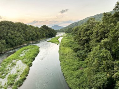 Nehir yemyeşil bir ormanın içinden akıyor, ağaçlar ve çimenler kıyılarını kaplıyor.