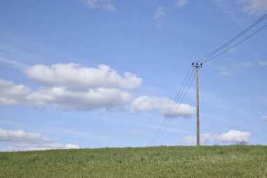 Elektrik telleri taşıyan yeşil bir tarla ve bulutlu mavi bir gökyüzü..