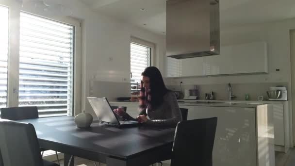 Δυναμική Σκηνή Του Zooming Προς Νεαρή Γυναίκα Στο Φορητό Υπολογιστή — Αρχείο Βίντεο