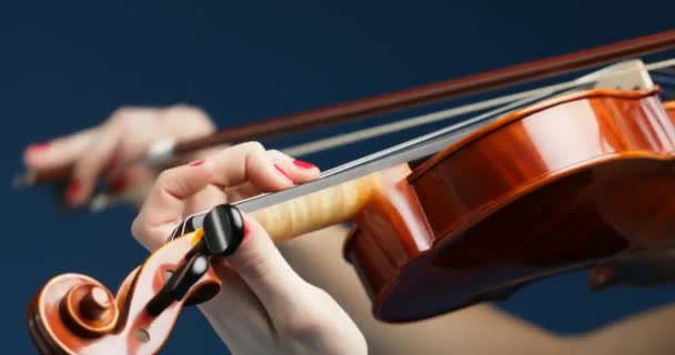 Los Movimientos Panorámicos Cámara Revelan Detalles Músico Clásico Instrumento Cuerda — Vídeos de Stock
