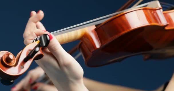 Panoramic Camera Movements Reveal Details Classical Musician Stringed Instrument Hands — Stock Video