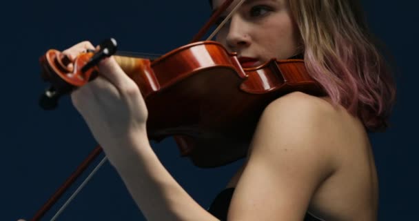 穿着音乐会服装 红指甲 粉色头发的年轻小提琴手 专心致志地弹奏古典音乐 带有选择性对焦的潘宁镜头 都是在蓝色背景下拍摄的 — 图库视频影像