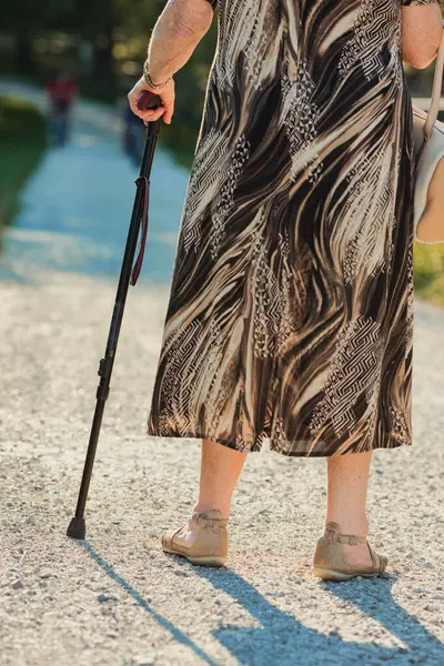 Тропинке Сторону Леса Проходит Пожилая Женщина Палкой Между Противоположной Стороны — стоковое фото