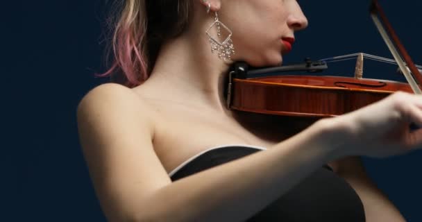 Anorama Révèle Violoniste Blond Avec Des Stries Roses Contre Bleu — Video