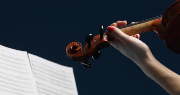 バイオリニストのパノラマショットは バイオリンのカールから始まり 腕の動きを追跡し 彼女の顔と弦上の弓の動きをキャプチャし 青い背景に対してぼやけます 彼女はピンクのストリークとブロンド 黒いドレスを着て バーシュトゥルド — ストック動画