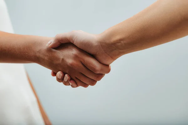 Handshake between women. Until humanity stops competing to cooperate for the common good, there will always be a divide and conquer in favor of someone\'s domination.