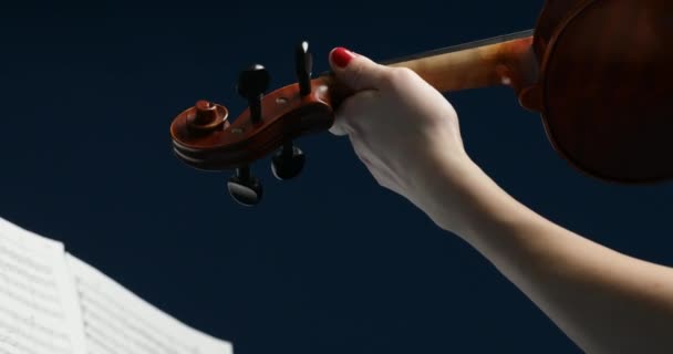 Con Pelo Rosa Traje Concierto Violinista Toca Violín Madera Totalmente — Vídeos de Stock