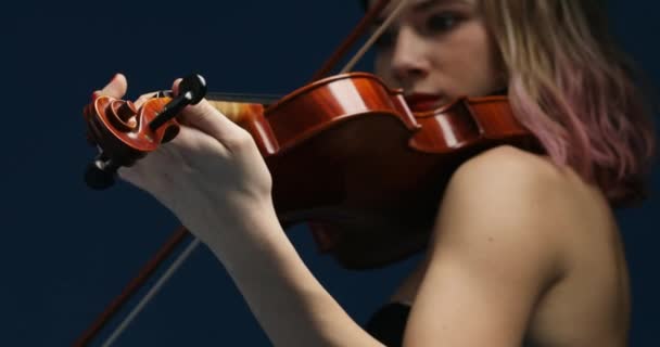 Contra Telón Fondo Azul Una Violinista Con Pelo Rosado Vibrante — Vídeos de Stock
