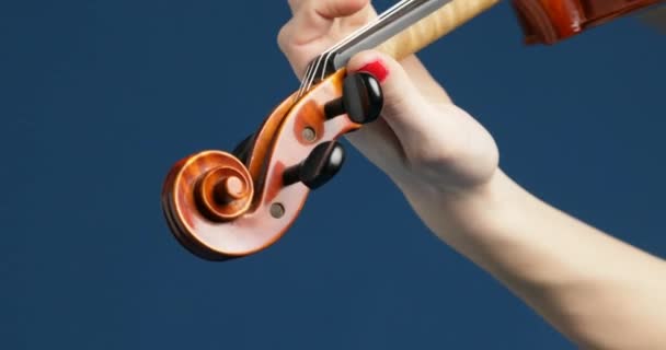 Одетая Свой Концертный Наряд Розововолосая Скрипачка Глубоко Взаимодействует Своей Деревянной — стоковое видео
