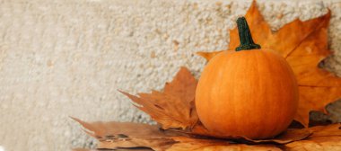 balkabağı ahşap masada kuru sonbahar yaprakları ve kopyalama alanı ile