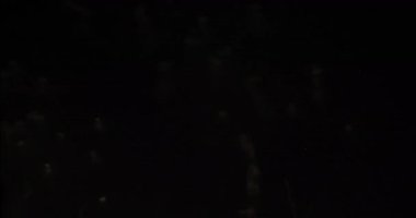 Gece gökyüzündeki havai fişek görüntüleri