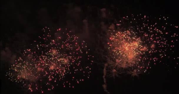 Imágenes Fuegos Artificiales Cielo Nocturno — Vídeos de Stock