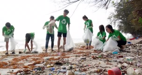 ビーチで清掃しているボランティアのグループです — ストック動画