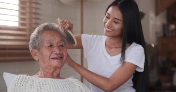 Senior Woman Spending Time Her Granddaughter Home — Stock Video