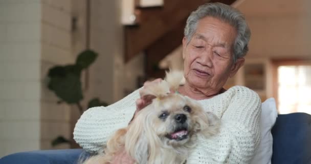 Bilder Äldre Kvinna Med Sin Hund Hemma — Stockvideo