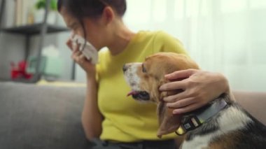 Evinde köpeği olan sevimli Asyalı kadın.