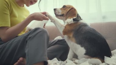 Evinde köpeği olan sevimli Asyalı kadın.