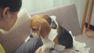 Evinde köpeği olan sevimli Asyalı kadın.