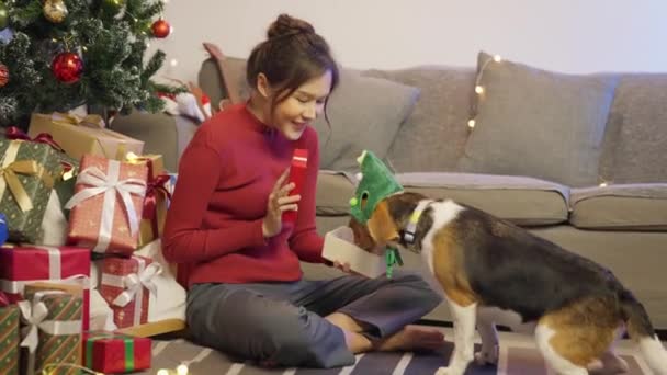 Mujer Joven Con Perro Casa Navidad — Vídeos de Stock