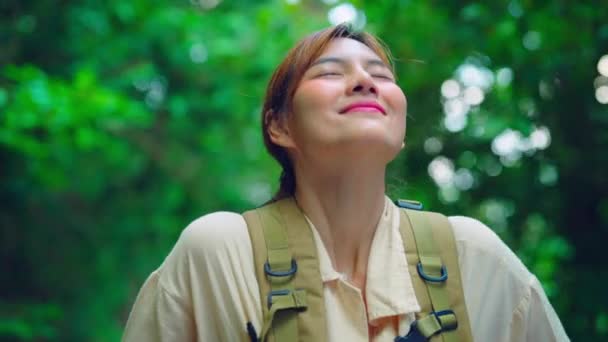 Footage Beautiful Asian Girl Walking Forest Enjoying Fresh Air Wildlife — Stock Video