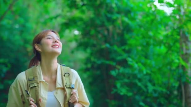Filmaufnahmen Eines Schönen Asiatischen Mädchens Das Wald Spazieren Geht Und — Stockvideo
