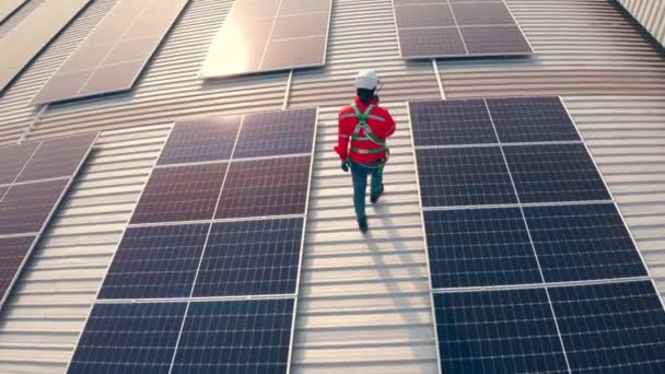 头戴硬礼帽的男工拿着太阳能电池板走在大楼的屋顶上 — 图库视频影像