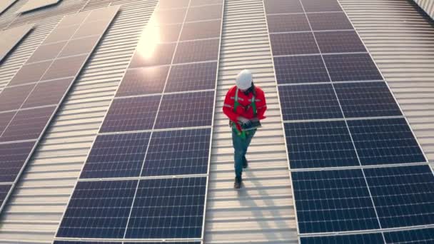 头戴硬礼帽的男工拿着太阳能电池板走在大楼的屋顶上 — 图库视频影像