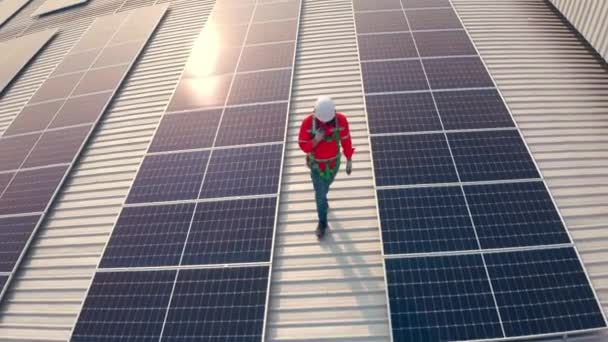 Binanın Çatısında Güneş Panelleriyle Yürüyen Kasklı Bir Erkek Işçi — Stok video