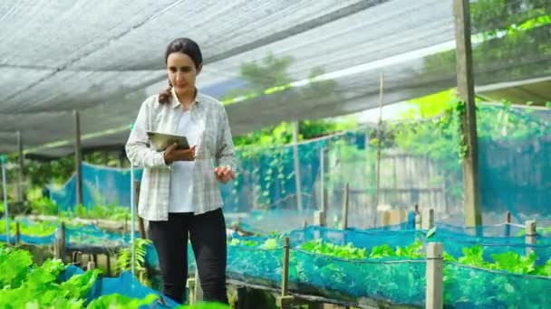 Mujer Joven Jardinero Trabajando Invernadero Con Tableta — Vídeo de stock