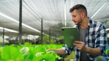 Serada çalışan tabletli genç bahçıvan.  