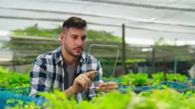 Serada çalışan saydam tabletli genç bahçıvan.  